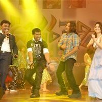 Jr NTR's Oosaravelli Audio Launch Gallery | Picture 77287